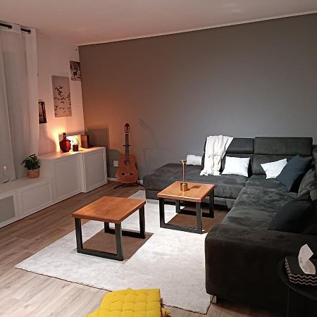 Stylish 1-Bedroom Flat With Beautiful Terrace , For A Cosy Retreat Straßburg Exterior foto
